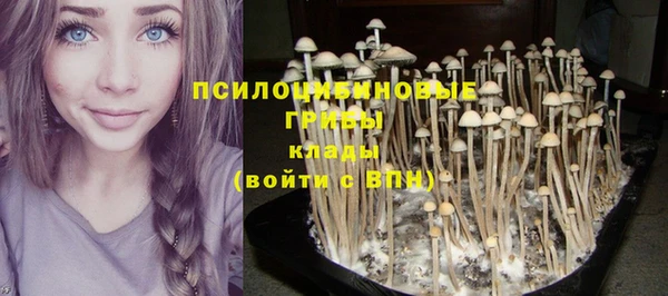 крисы Медногорск