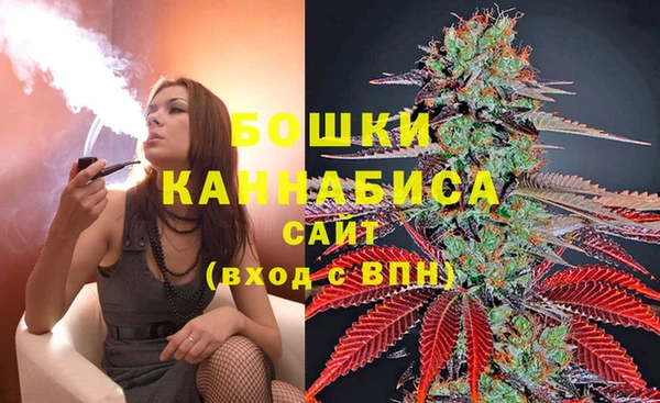 MESCALINE Бородино