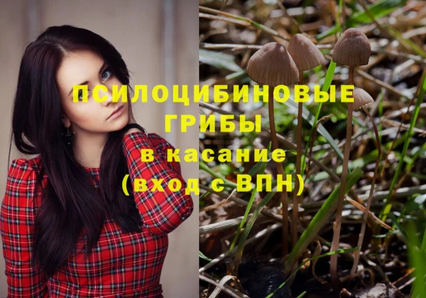 соль курить ск Медвежьегорск