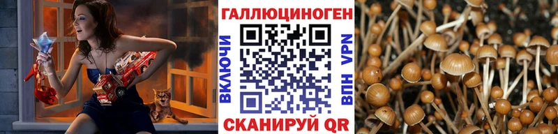Псилоцибиновые грибы Magic Shrooms  Удомля 