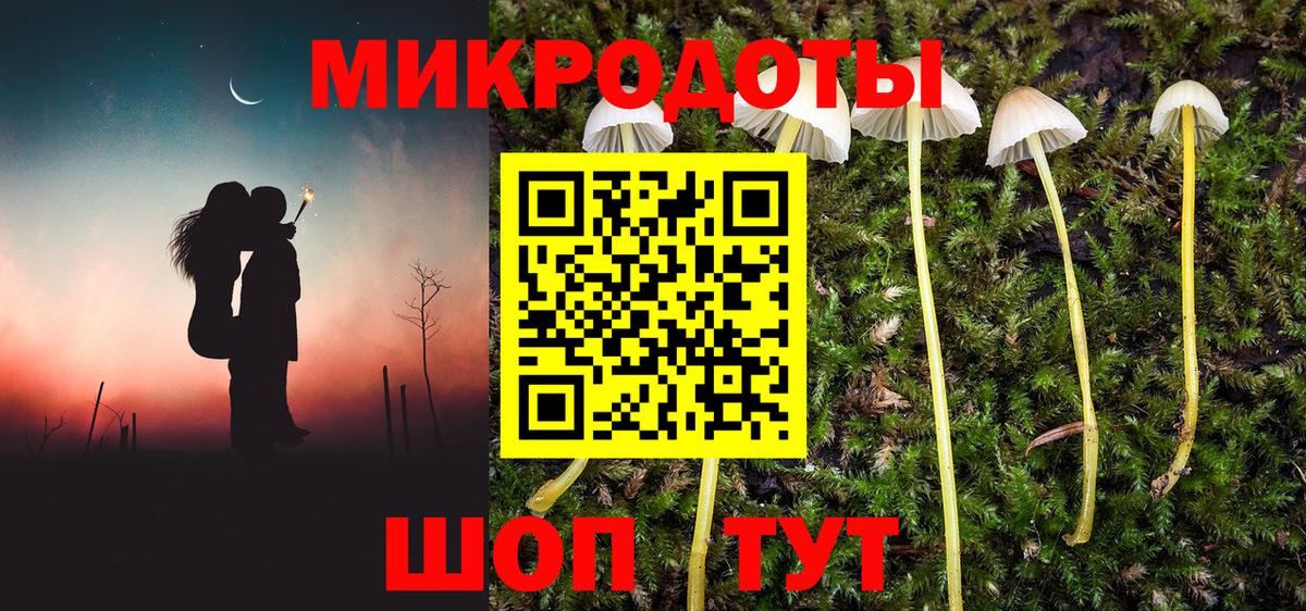 Галлюциногенные грибы Cubensis  Удомля 